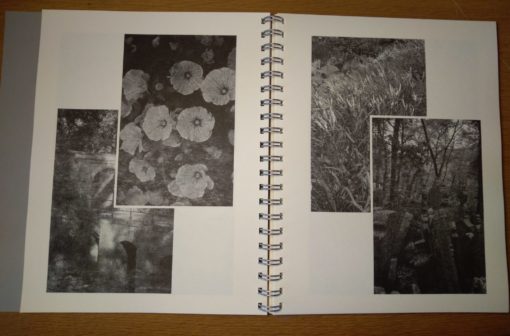 Stones & Roses - Mathieu Gargam, Jérôme Dupeyrat – Image 7
