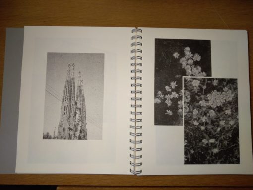 Stones & Roses - Mathieu Gargam, Jérôme Dupeyrat – Image 6