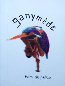 tom-de-pekin-ganymede