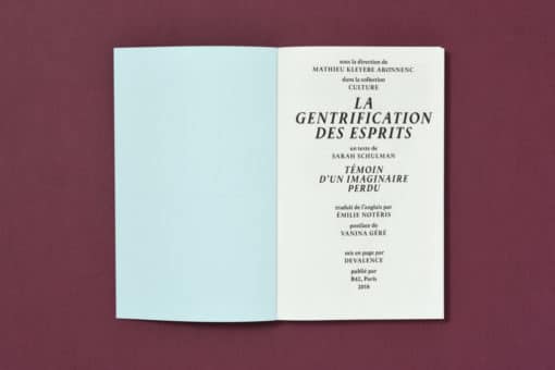 La gentrification des esprits - Sarah Schulman – Image 2