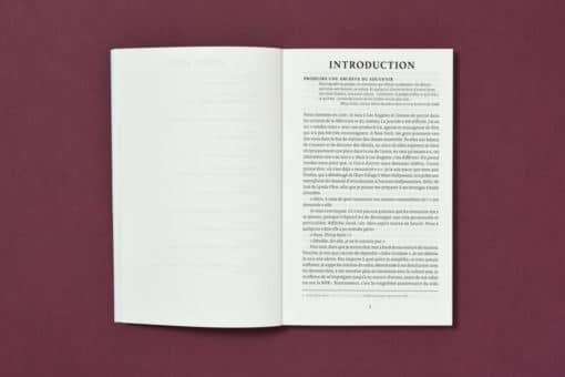 La gentrification des esprits - Sarah Schulman – Image 3