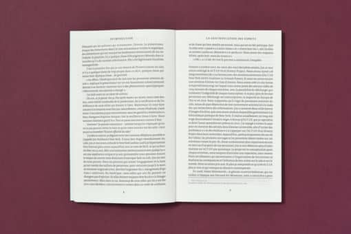 La gentrification des esprits - Sarah Schulman – Image 4