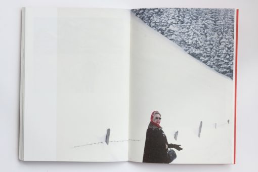 Der Erste Rotkehlchen - Le livre – Image 6