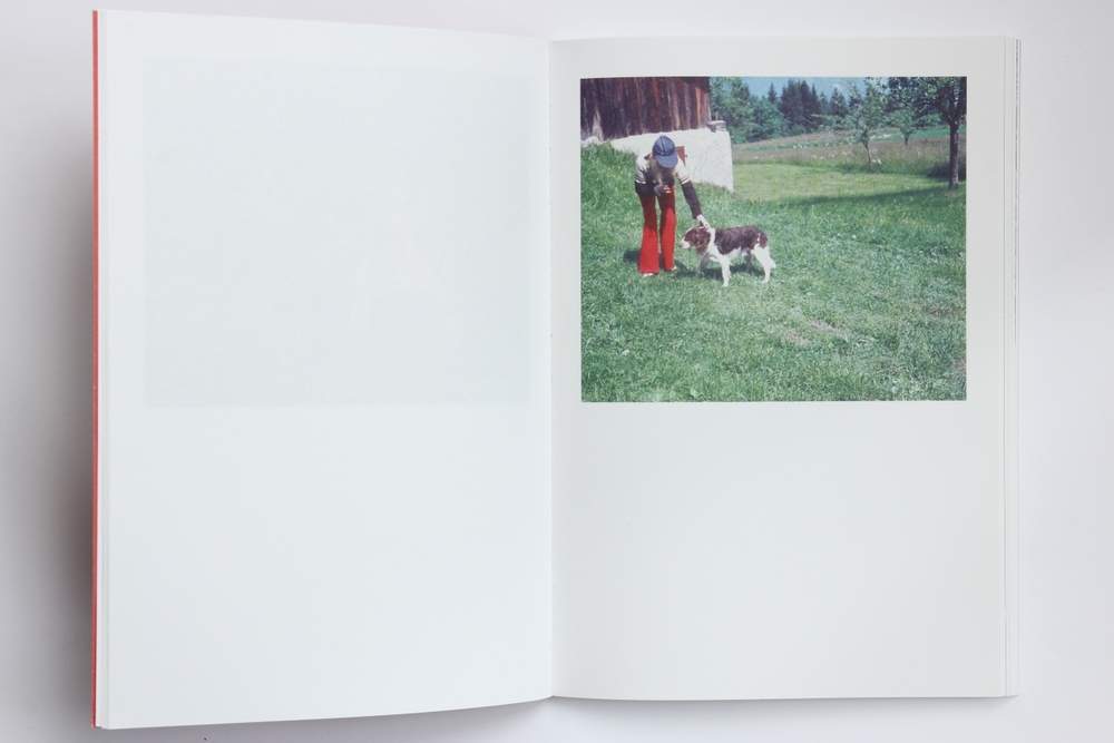 Der Erste Rotkehlchen - Le livre – Image 8