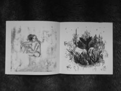 Buco Verde - Isabelle Ménéan – Image 4