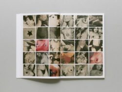 Censored - Tiane Doan na Champassak – Image 5