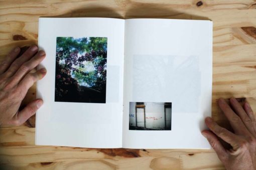 Awakening at the inn of the birds - Aymeric Vergnon – Image 2