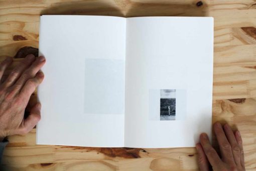Awakening at the inn of the birds - Aymeric Vergnon – Image 4