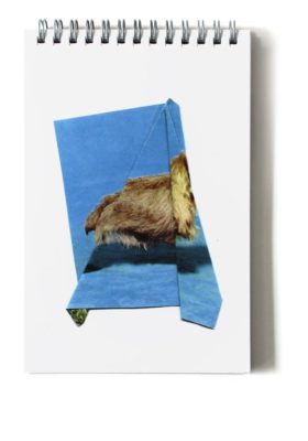 The Levitators - Ruth van Beek – Image 4