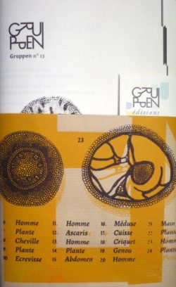 Gruppen n°13 - Collectif