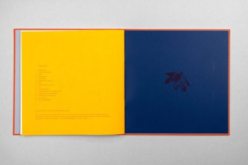 L'ami - Icinori – Image 3