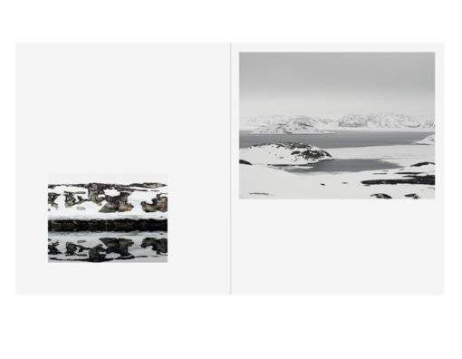 Darkest Night - Joel Van Audenhaege – Image 6
