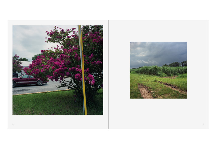 Agonising Summer - Marina Cox, Larry Fink – Image 8