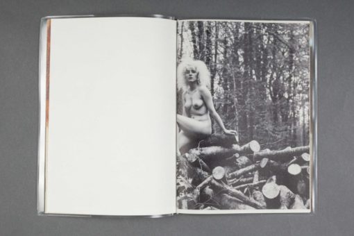 Nos nostalgies - Collectif – Image 5