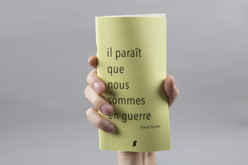 Il paraît que nous sommes en guerre - Pierre Terzian – Image 2