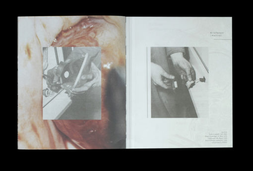 Vaughan's moodboard - PAIEN – Image 2
