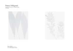 The Drawer n°16 – Image 2