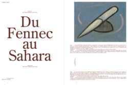 Du Fennec au Sahara - Guillaume Pinard – Image 3