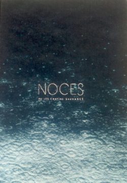 Noces ou les confins sauvages - Hélène David