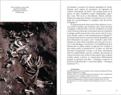 Manuel d'écologie urbaine - Audrey Muratet, François Chiron – Image 4