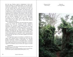 Manuel d'écologie urbaine - Audrey Muratet, François Chiron – Image 10