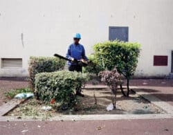 Manuel d'écologie urbaine - Audrey Muratet, François Chiron – Image 11