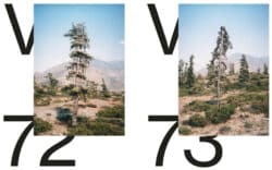 Spectre n°2 - Vegetal Trauma – Image 3