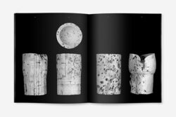 Le bouchon de liège - Typologie – Image 3