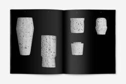 Le bouchon de liège - Typologie – Image 4