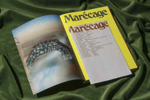 Marécage - Revue Lagon – Image 13