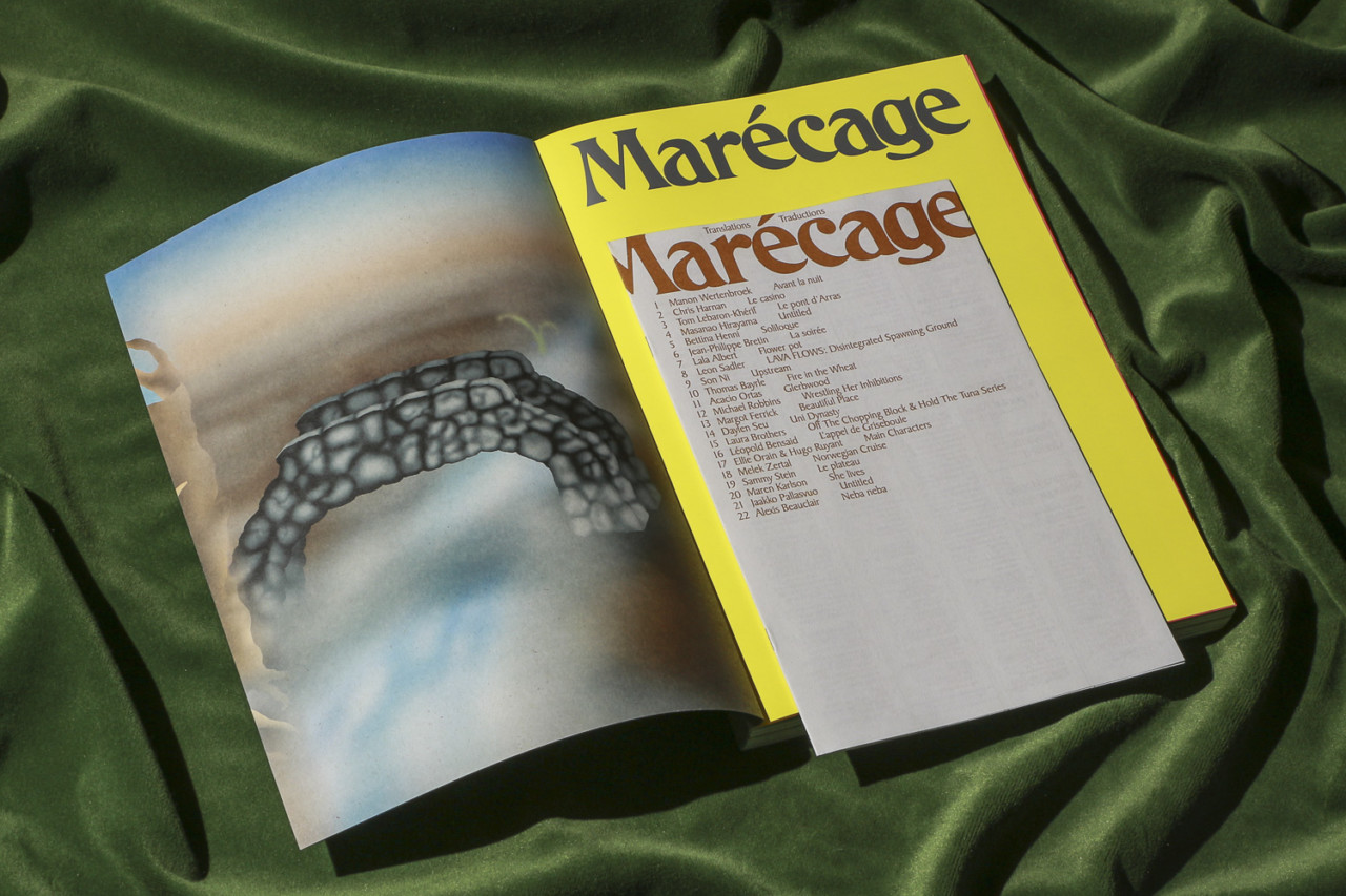 Marécage - Revue Lagon – Image 13