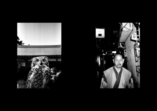 Ramen - Mathieu Van Assche – Image 6