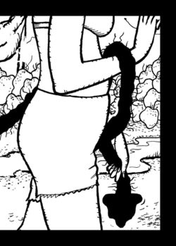 L'arum tacheté de J-M. Bertoyas