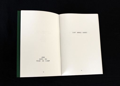 Quarante et un titres autrement - Fabienne Radi – Image 7