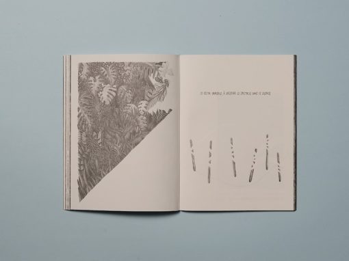 Aujourd'hui est le jour où tu rejoins tes semblables - Marion Balac – Image 11