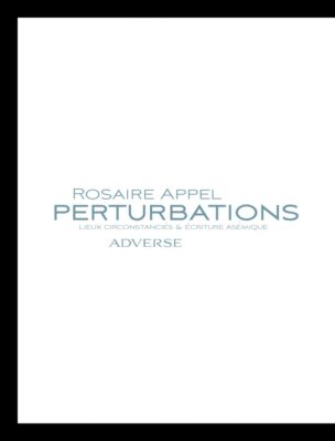 Perturbations - Rosaire Appel – Image 2