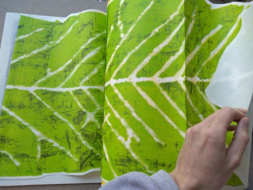 La reflexologie par les plantes - Samuel Trenquier Tombola – Image 4