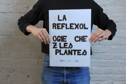 La reflexologie par les plantes - Samuel Trenquier Tombola – Image 13