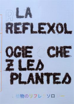 La reflexologie par les plantes - Samuel Trenquier Tombola