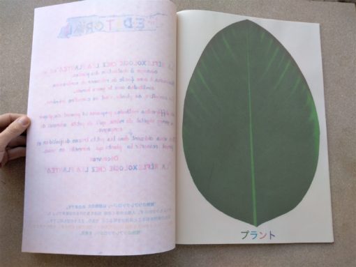 La reflexologie par les plantes - Samuel Trenquier Tombola – Image 9