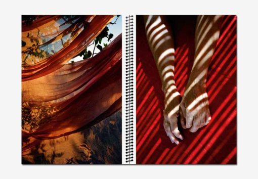 Red Harvest - Marguerite Bornhauser – Image 4