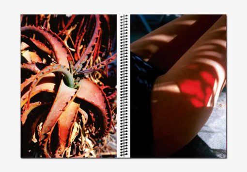 Red Harvest - Marguerite Bornhauser – Image 5