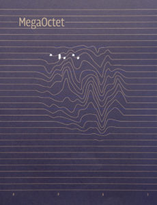 MegaOctet Verbateam