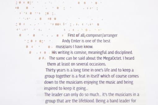 MegaOctet Verbateam – Image 5