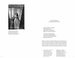 Laura Mulvay - Fetichisme et curiosité – Image 5