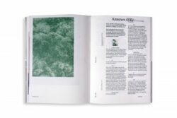Field Essays - “Éloj Kréyol” - Coll. – Image 8