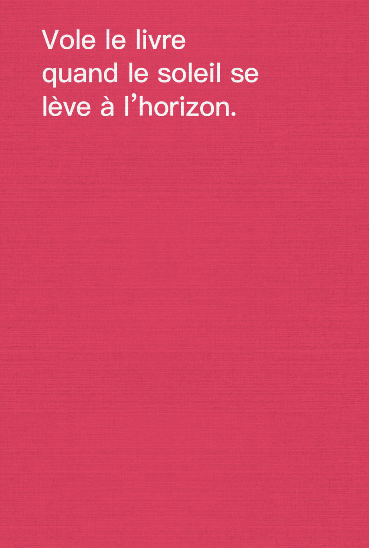 Comment voler des livres - David Horvitz