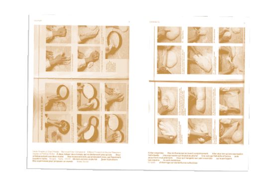 Approche D n°4 - Co-pain – Image 2