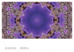The Drawer n°17 – Image 9