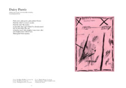 The Drawer n°17 – Image 6